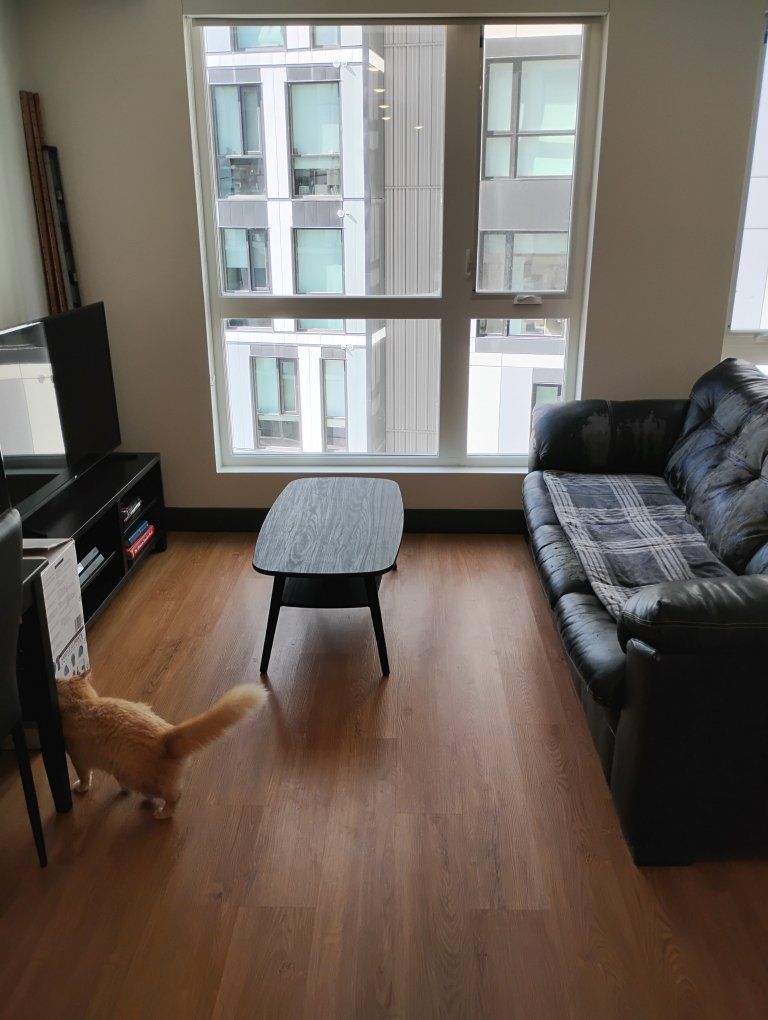 Free Black Leather Couch