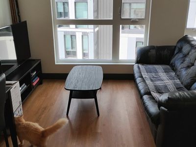 Free Black Leather Couch