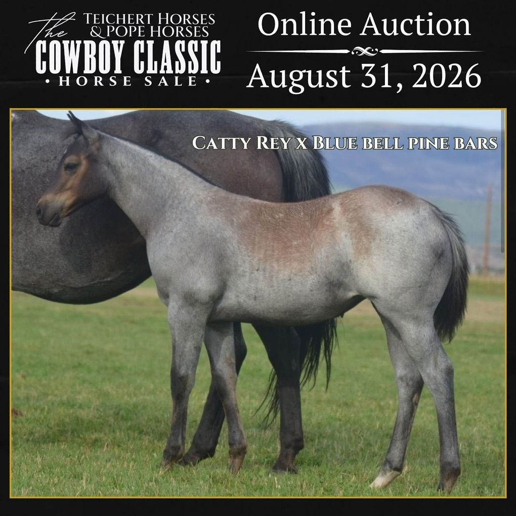 One Of A Kind Filly By Catty Rey