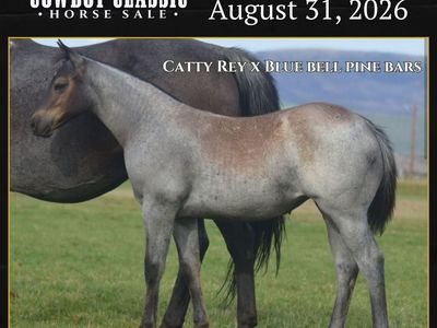 One Of A Kind Filly By Catty Rey