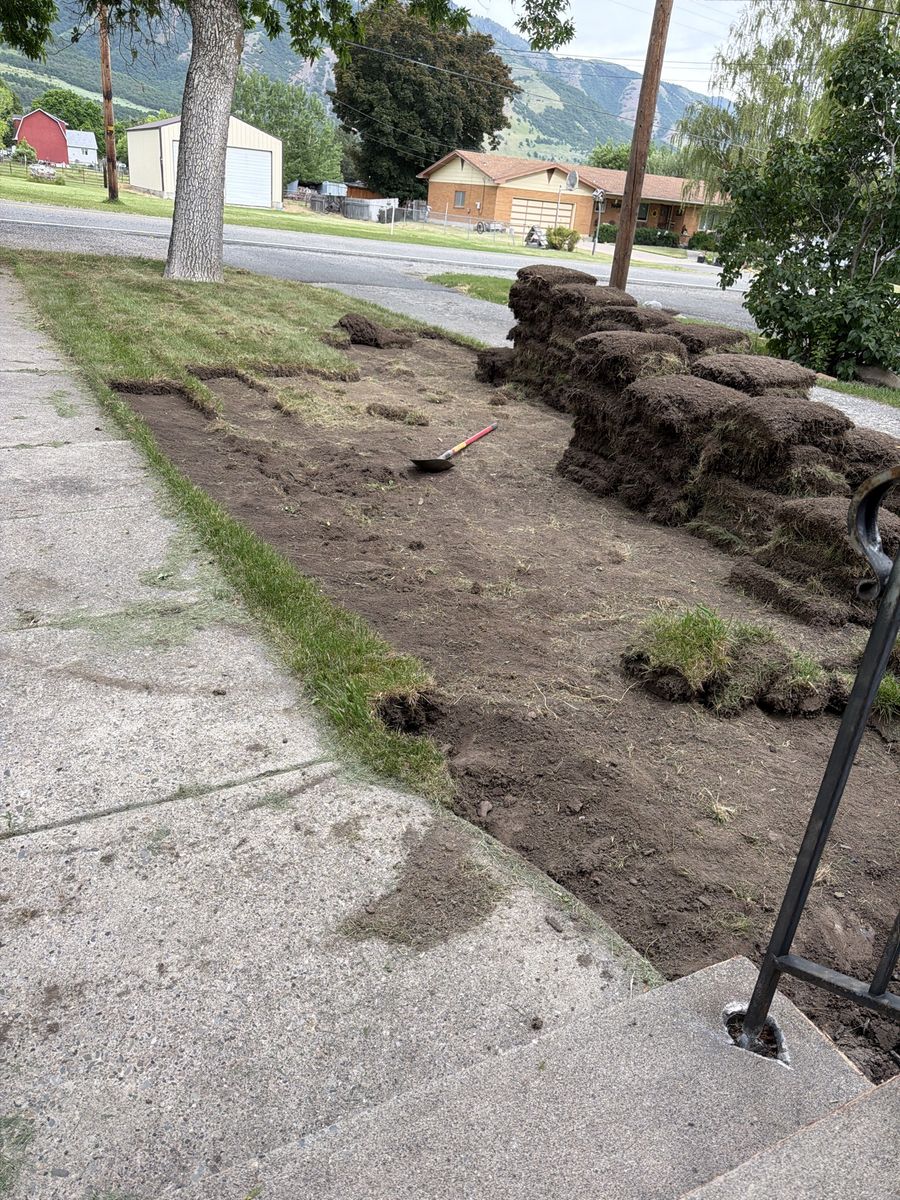 Free Sod cut today