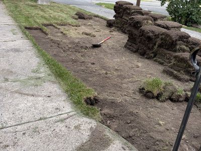 Free Sod cut today