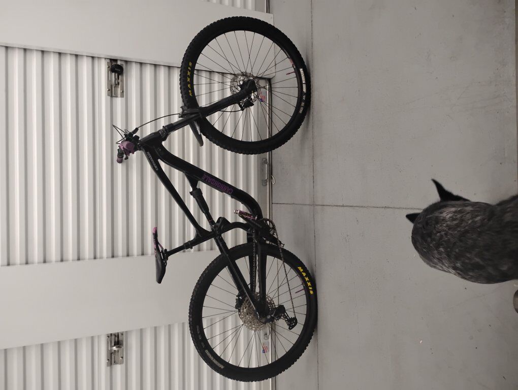 2022 cannondale habit for trade