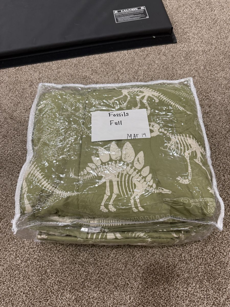 Beddys FULL Fossils Nod Winks