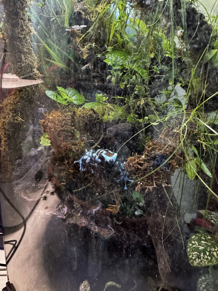 Main image 3
