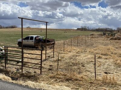 Pipe Fence / Wire Fence