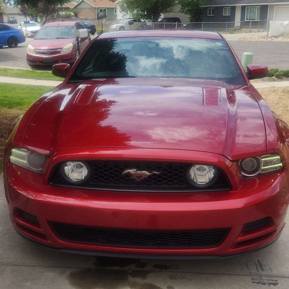 2013 Ford Mustang GT500