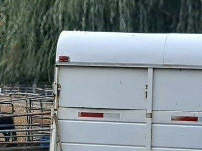 Extra Wide Two Horse Straight Load