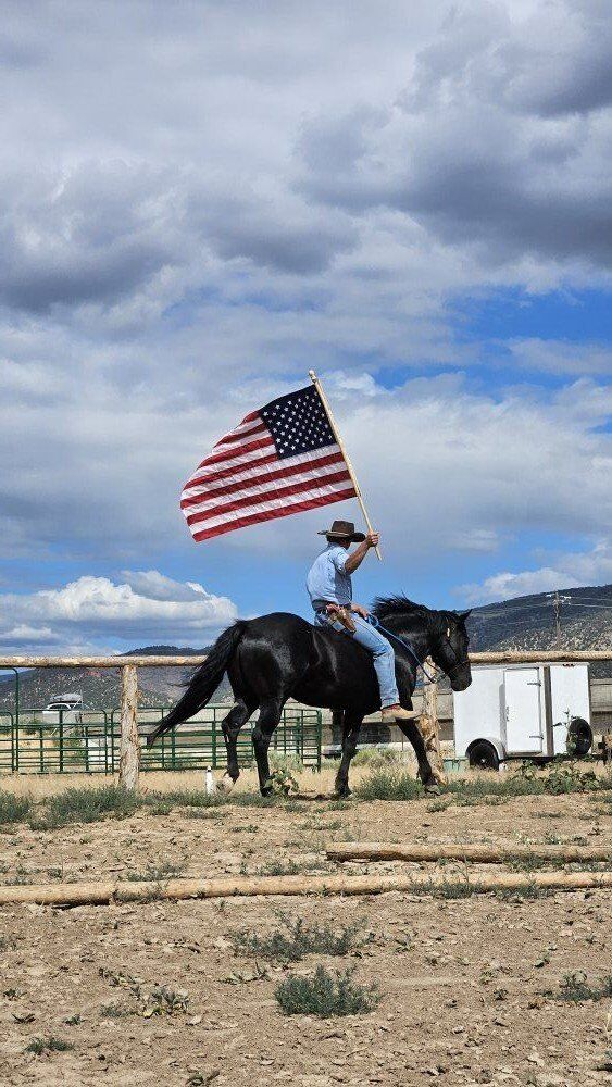 horse trainer/colt starter