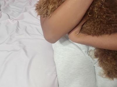 9 month old toy poodle