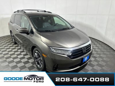 2022 Honda Odyssey Elite