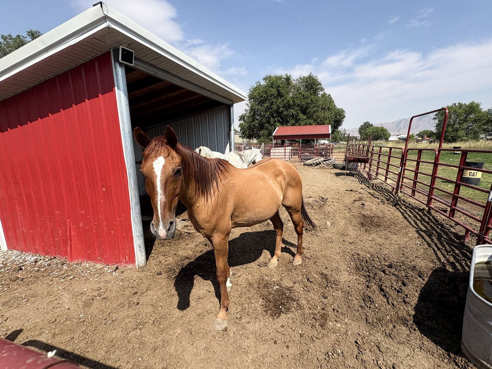 Main image 3