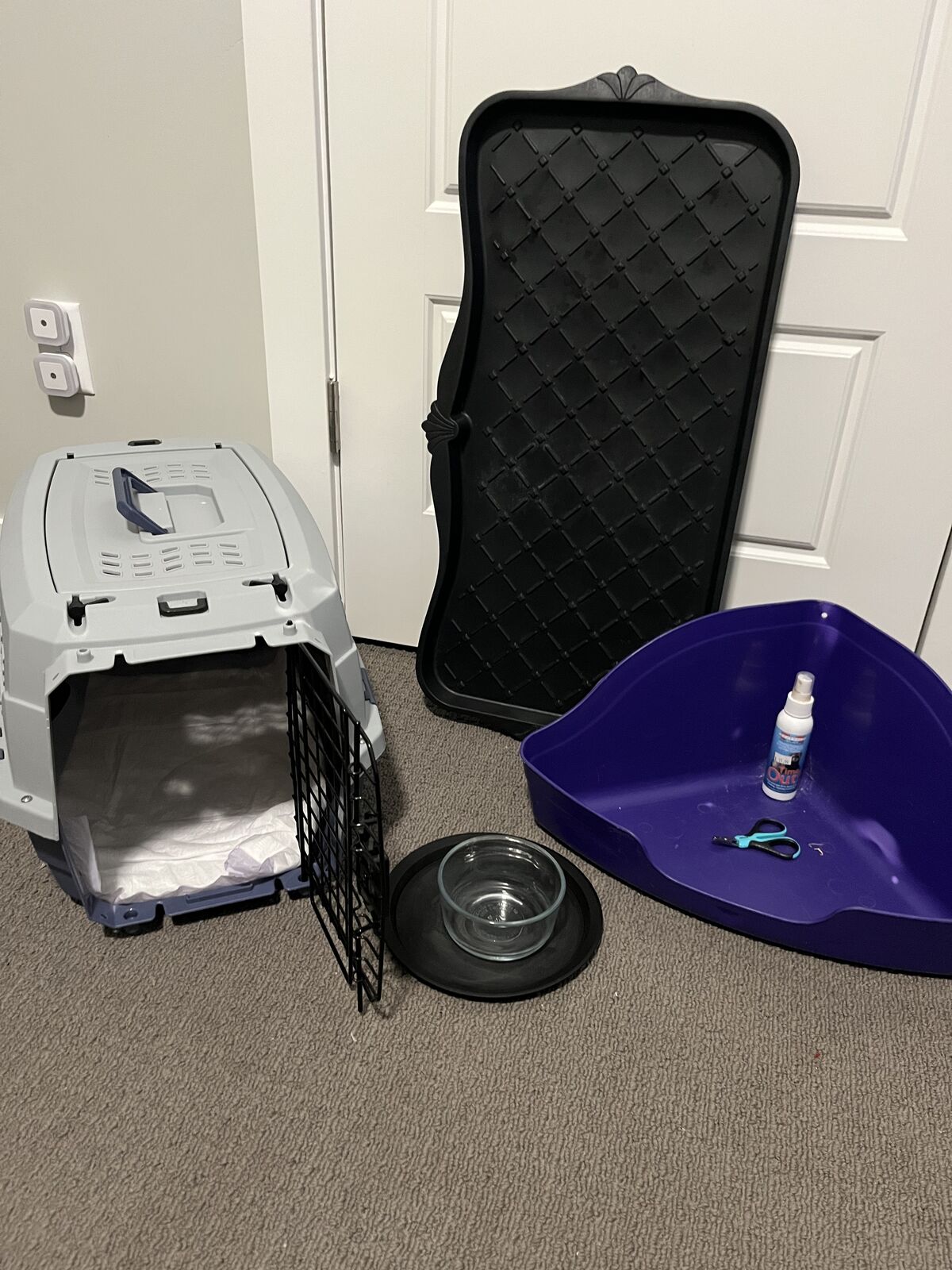 Medium Pet Carrier Plus More