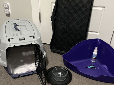 Medium Pet Carrier Plus More