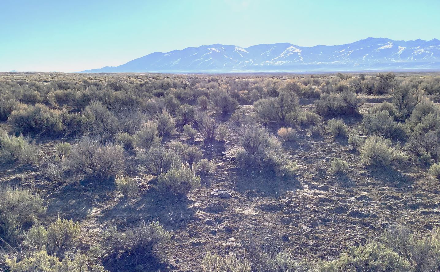 Turn Off Your Computer and GO OUTSIDE - Own 10 Acres 