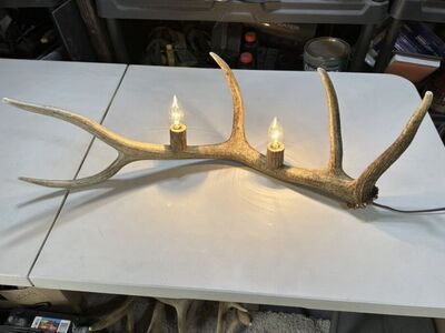Mantle/Table Elk Light