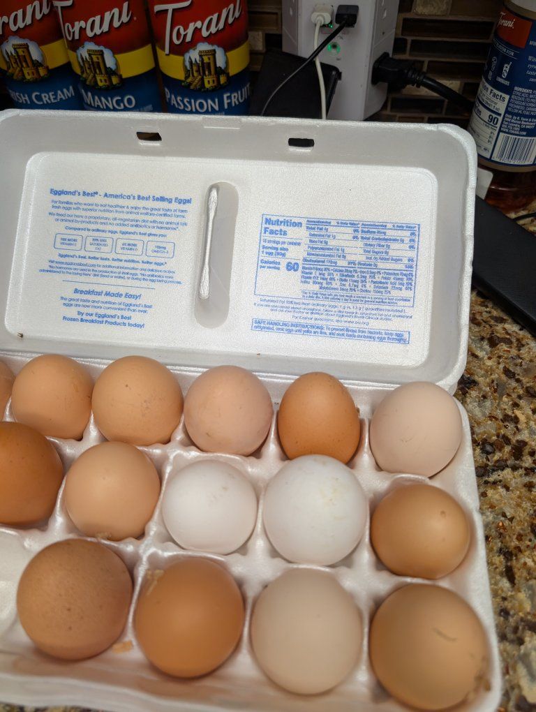 farm fresh eggs