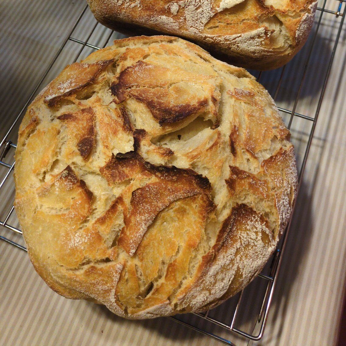 Fresh-baked Sourdough Bread