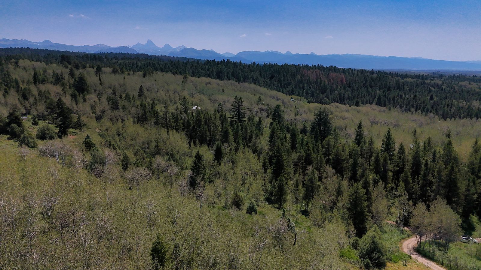 Main image 13