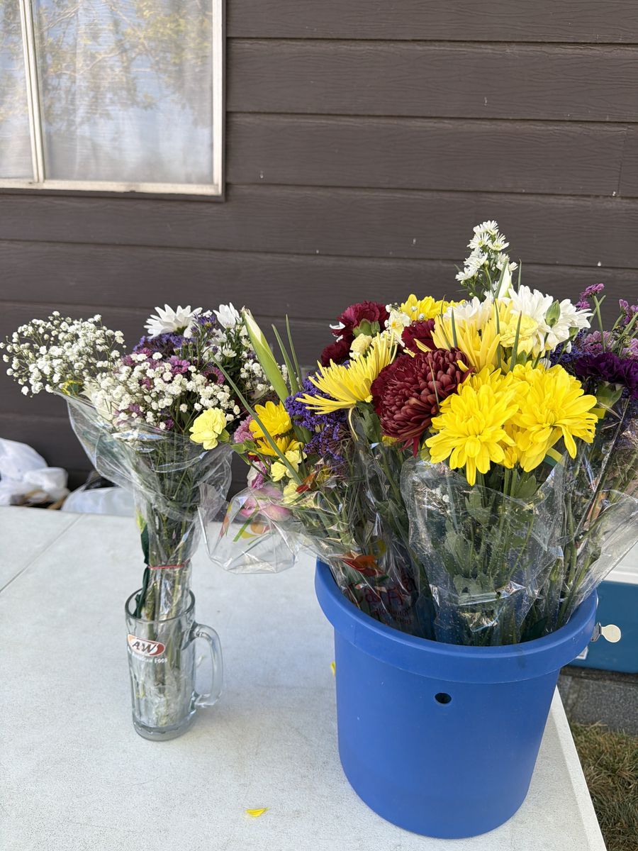 Main image 7