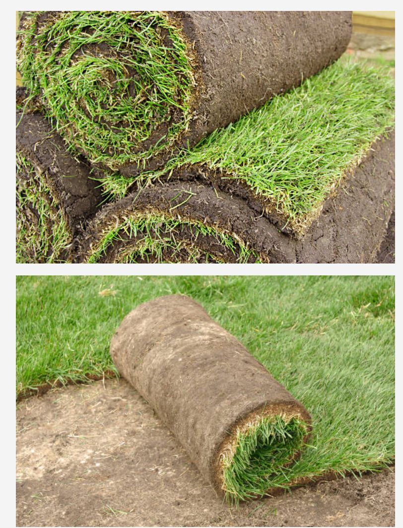 It’s time for Sod