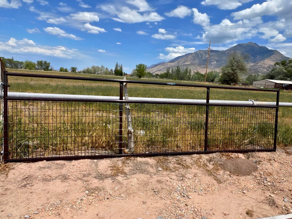 *CLEARANCE* TARTAR Wire Filled Gate