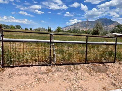 *CLEARANCE* TARTAR Wire Filled Gate
