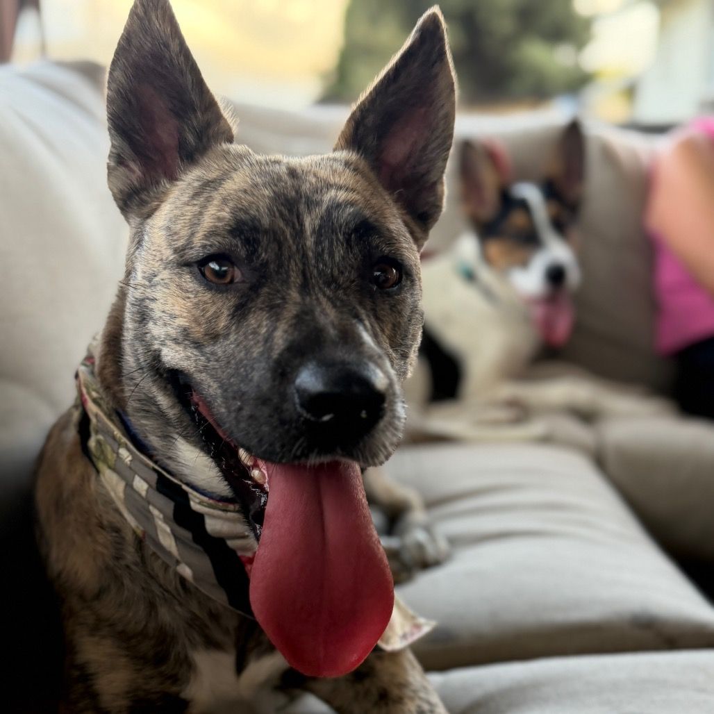 Hello my name is Xena