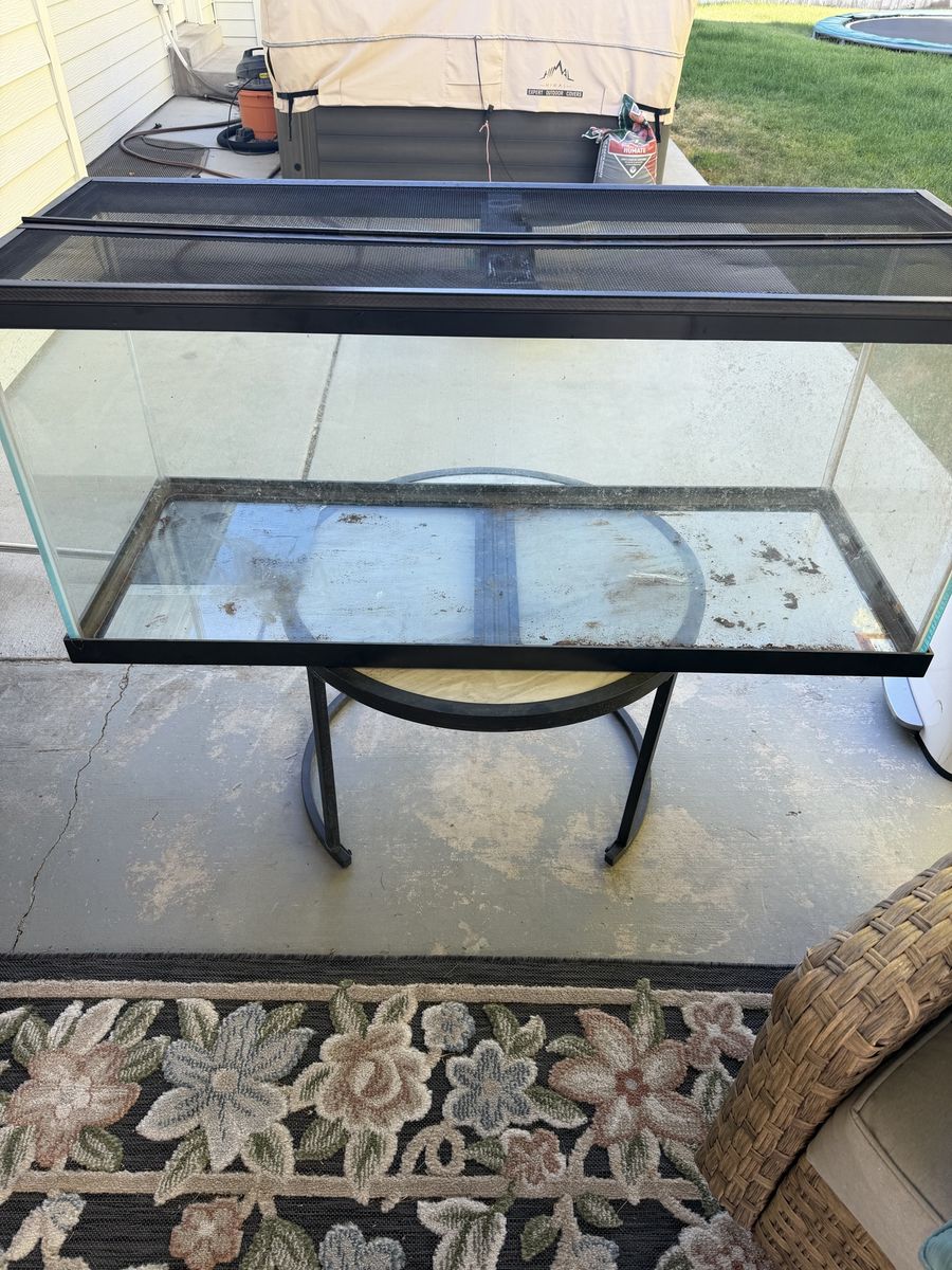 75 gallon tank w/ lid