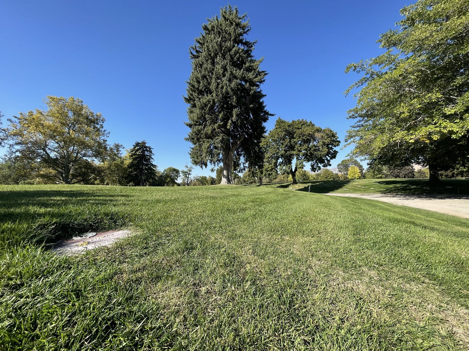 Main image 6