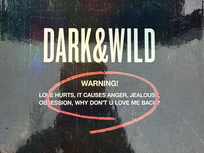 Dark & wild BTS album