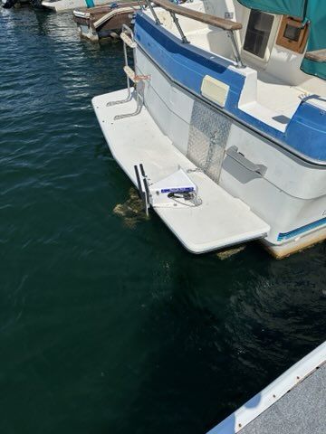 Main image 9