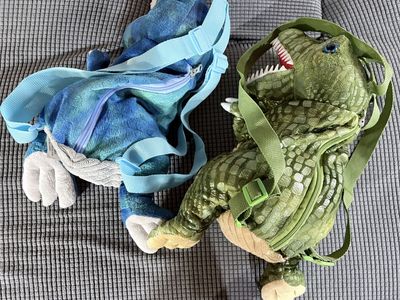2 Dinosaur Backpacks