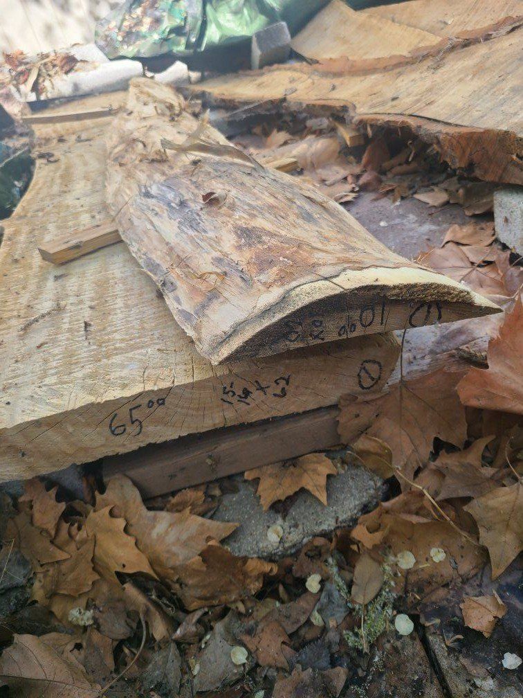 Main image 3