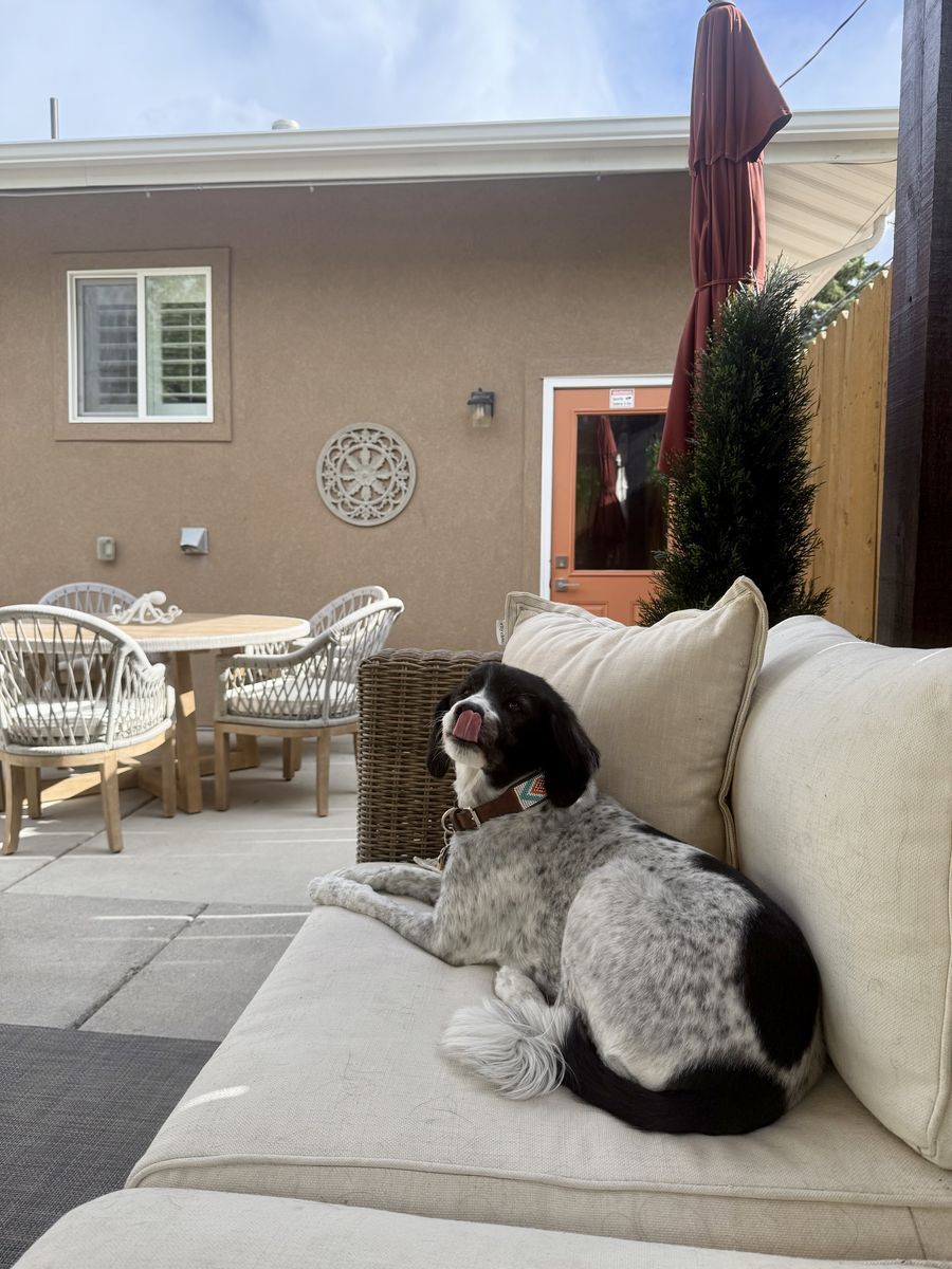 Outdoor Table