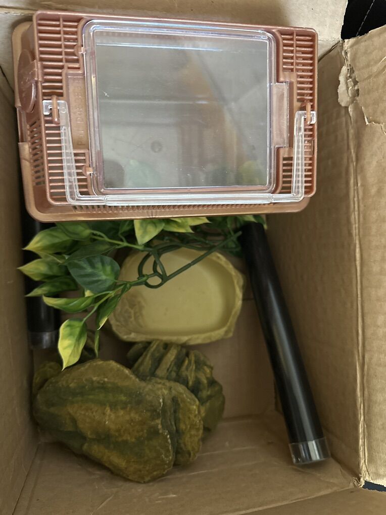 Terrarium Decoration And Cricket box