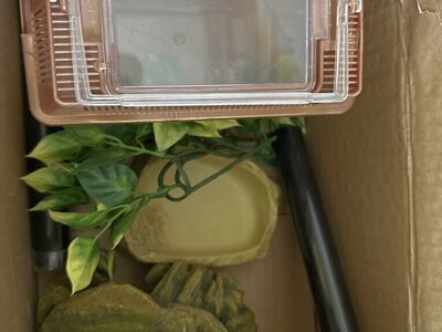 Terrarium Decoration And Cricket box