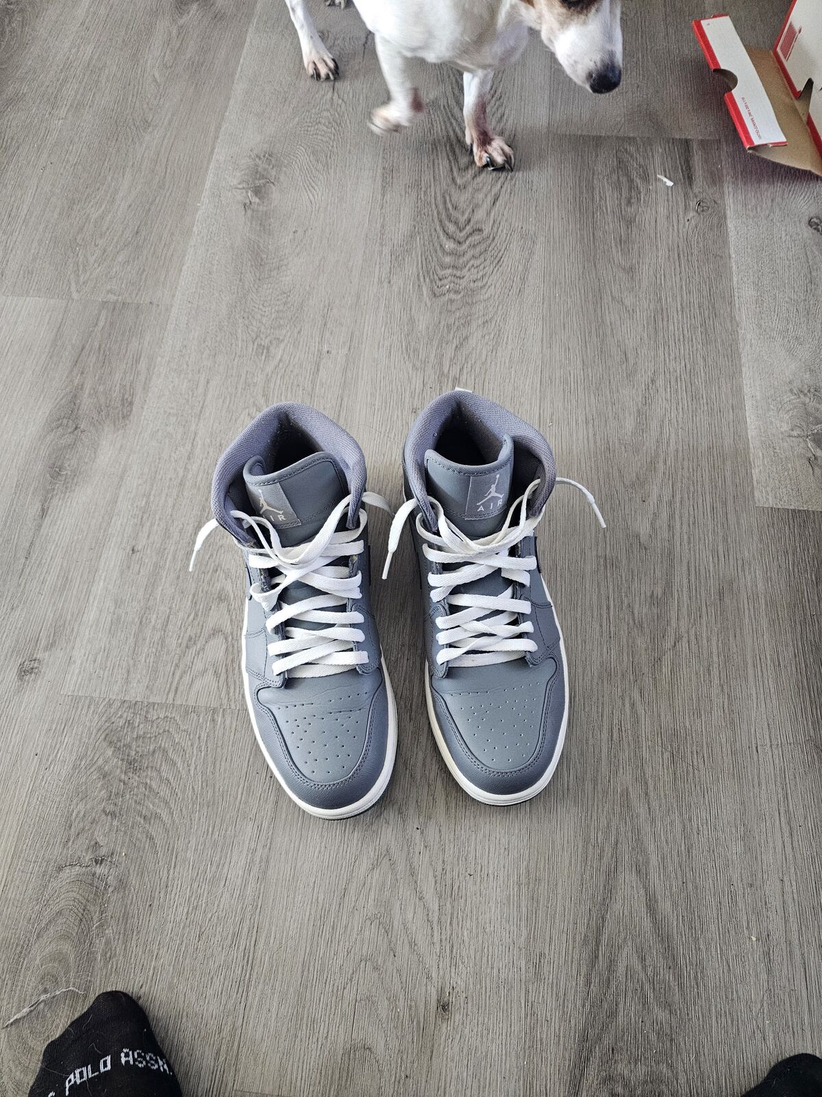 Jordan 1 mid cool gray 10m