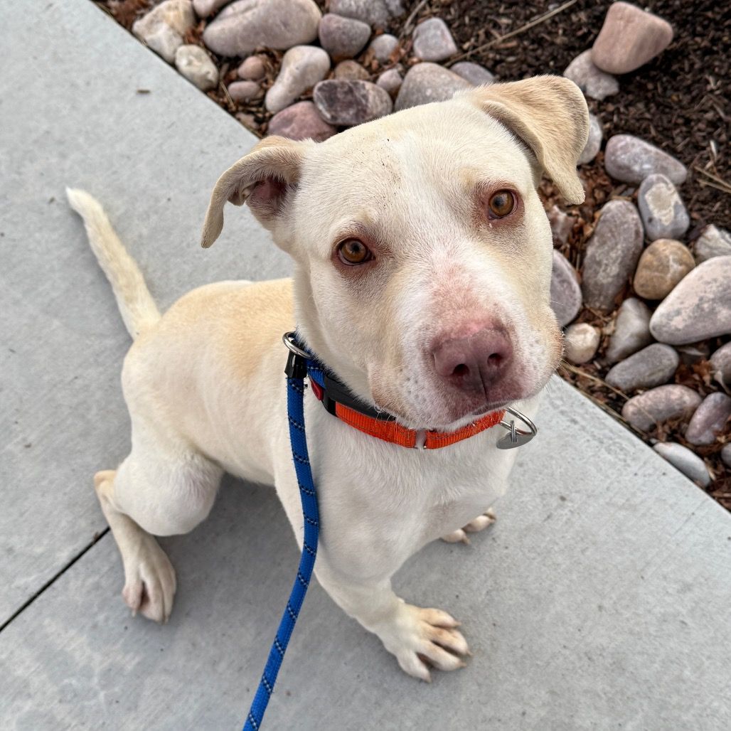 Hello my name is Daryl