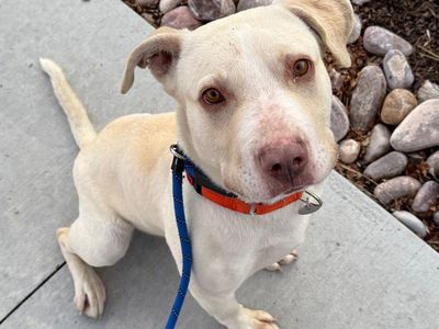 Hello my name is Daryl