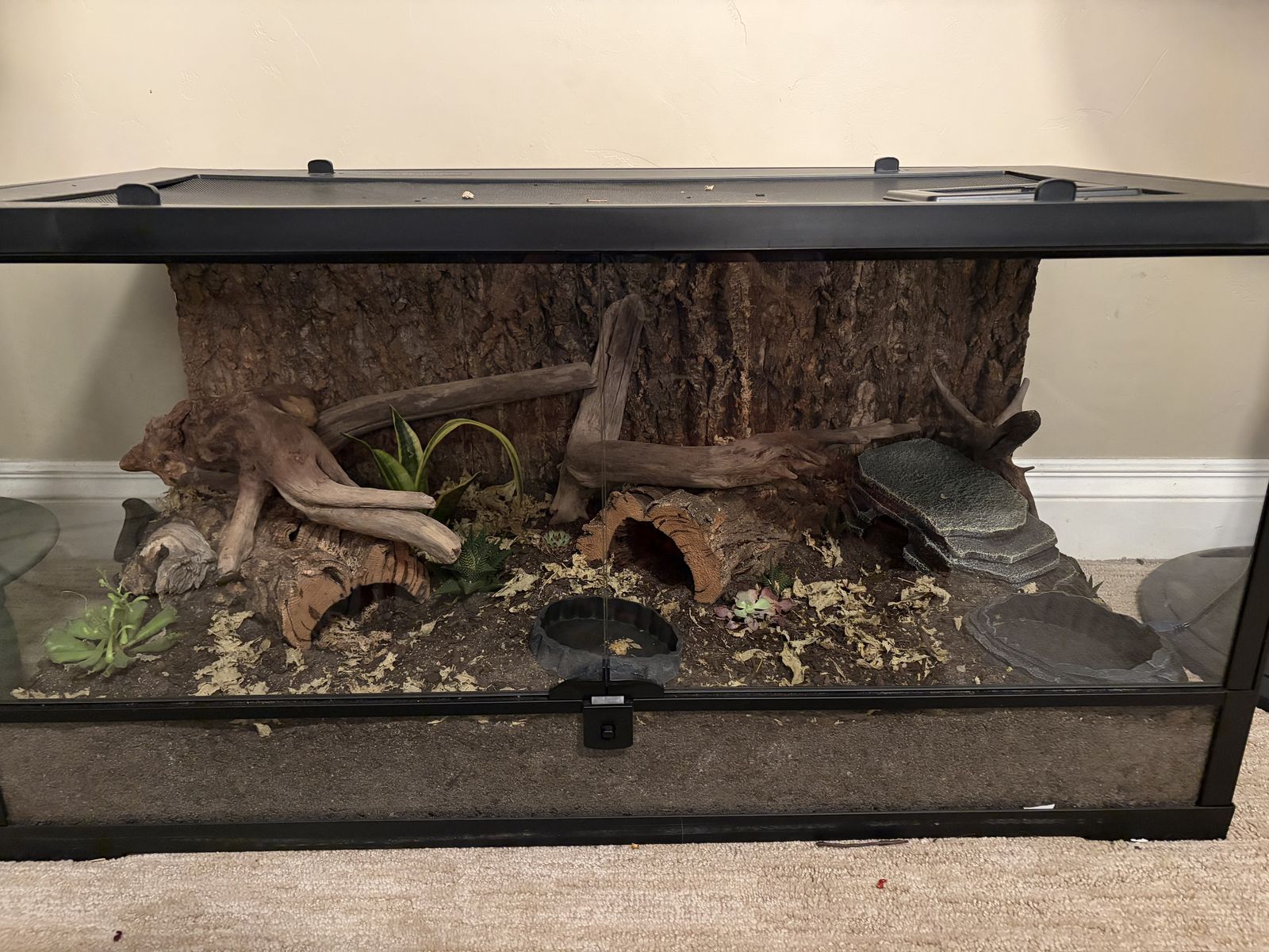 36x18x18 Enclosure perfect for leopard gecko