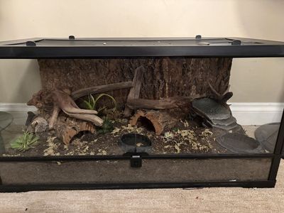 36x18x18 Enclosure perfect for leopard gecko