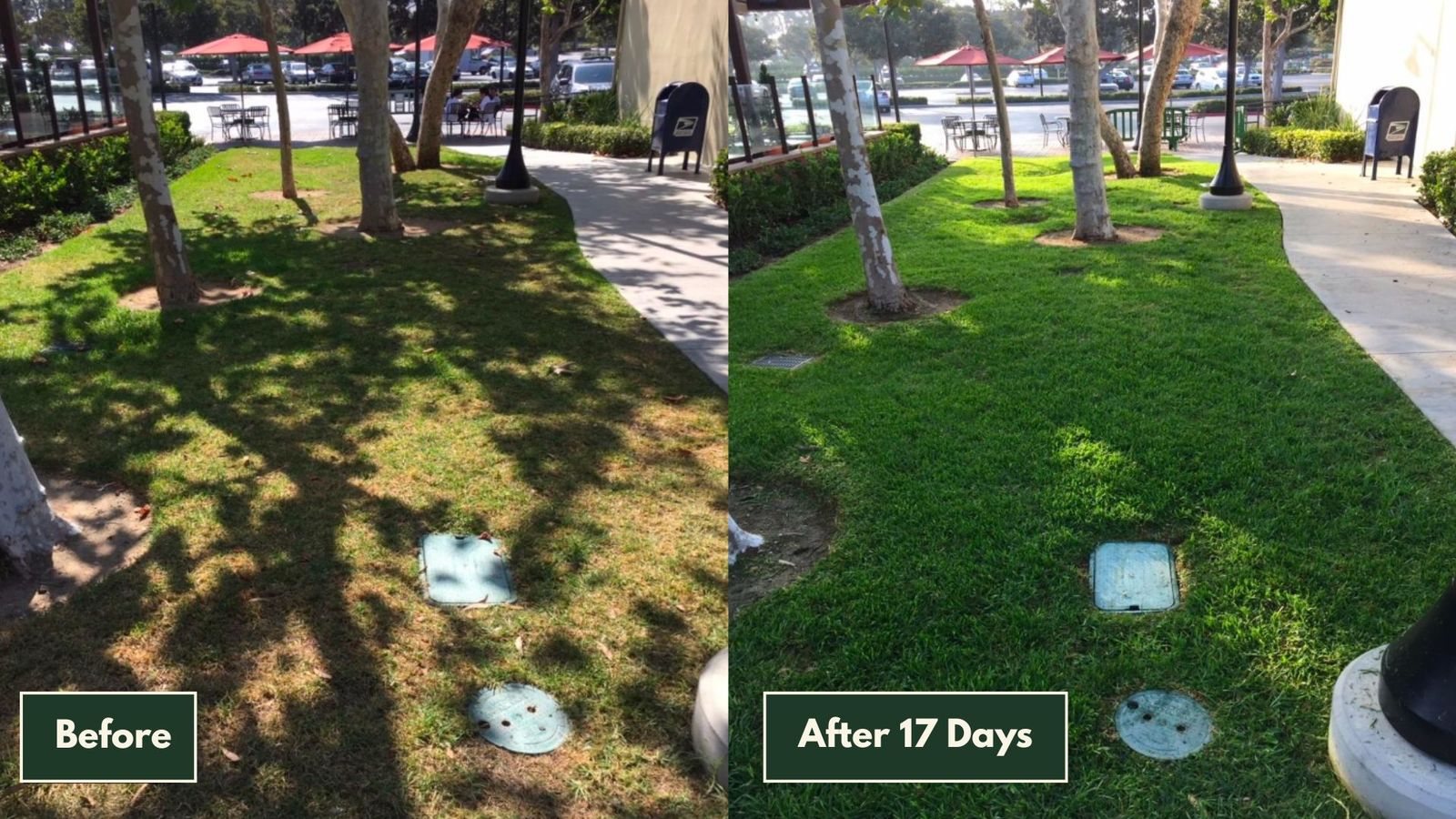 Greener Lawn Using 30-50% Less Water – Automatic Lawn Feeding System