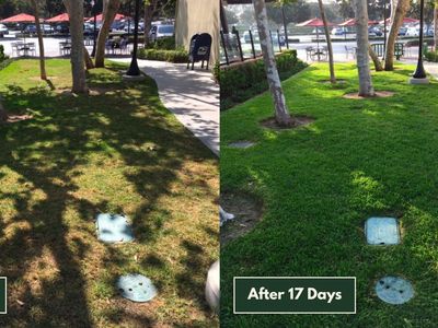 Greener Lawn Using 30-50% Less Water – Automatic Lawn Feeding System