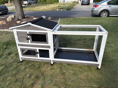 Bunny hutch, rabbit hutch