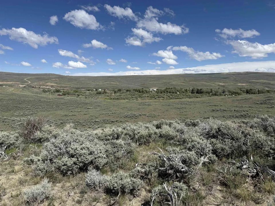 Main image 14