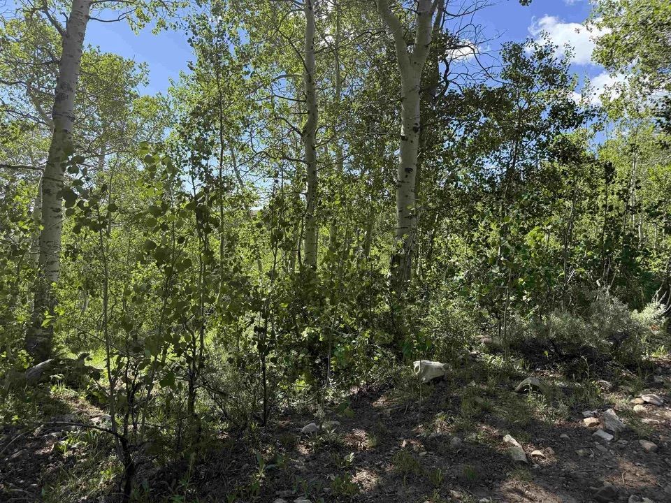 Main image 11