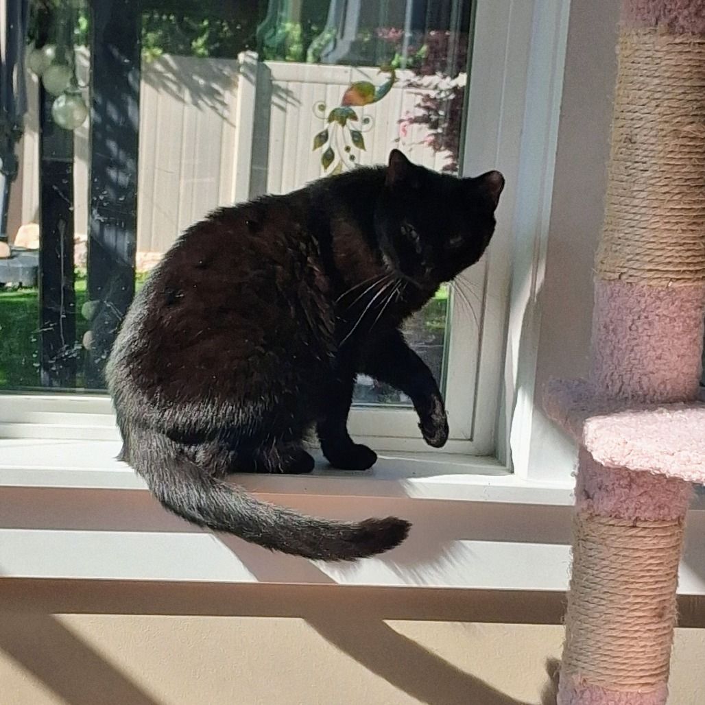 Main image 6
