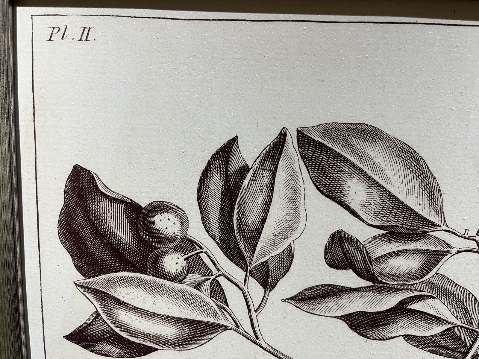 Main image 10