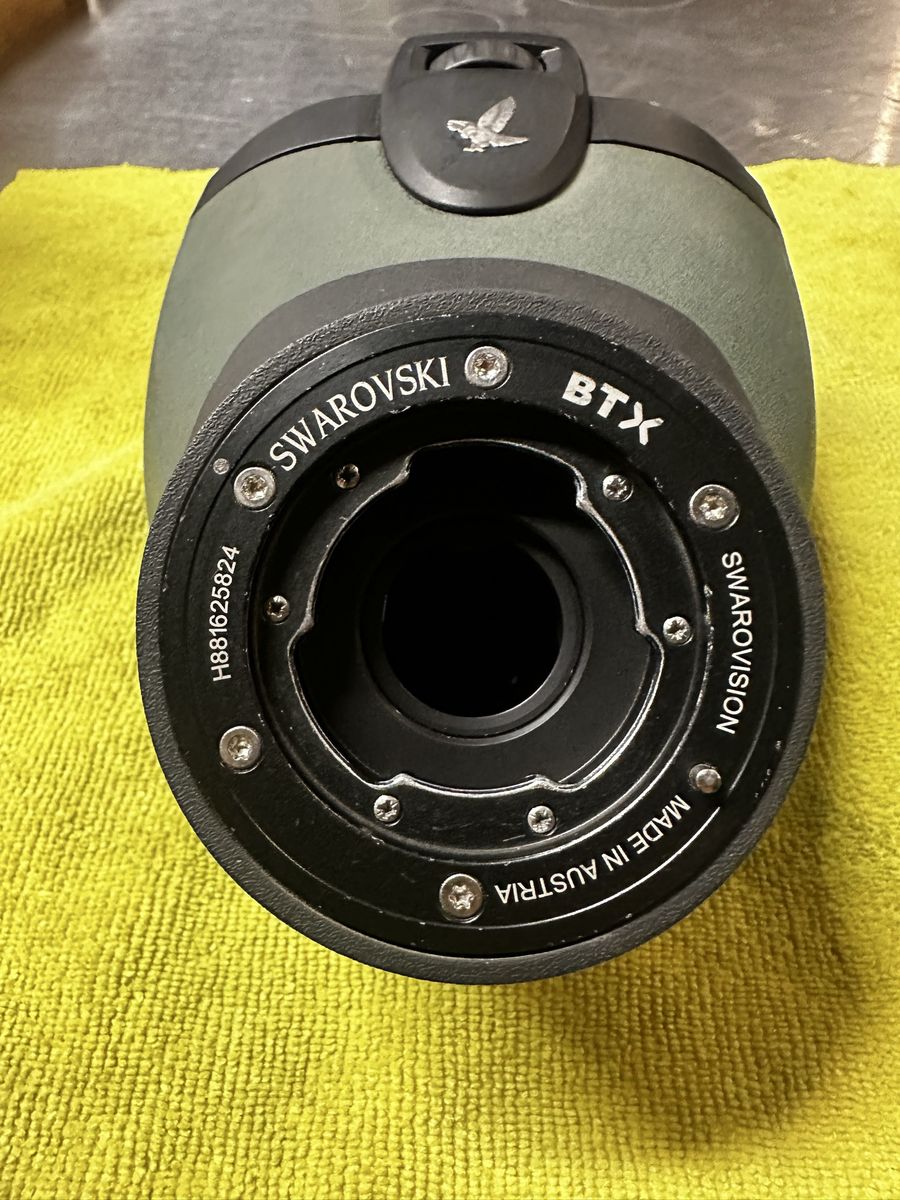 Main image 6